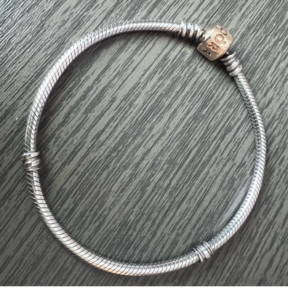 Pandora Silver and Gold Snake Chain Bracelet